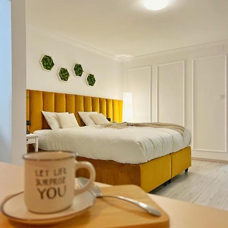 Studio 118 - A Luxury Place,10Min Walk To City Center Timişoara Buitenkant foto