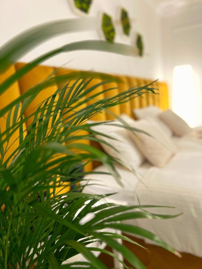 Studio 118 - A Luxury Place,10Min Walk To City Center Timişoara Buitenkant foto