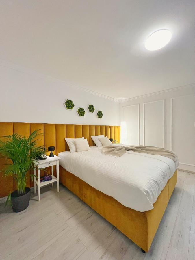 Studio 118 - A Luxury Place,10Min Walk To City Center Timişoara Buitenkant foto